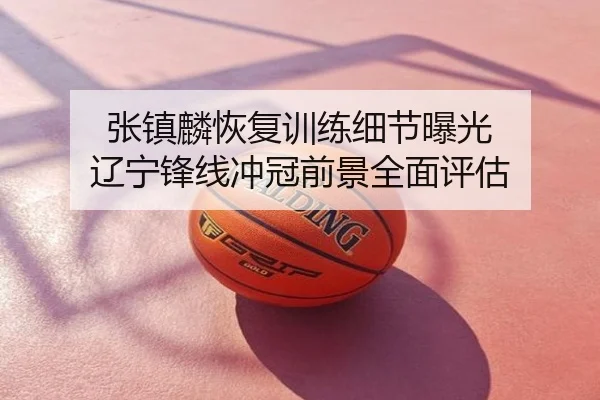 张镇麟恢复训练细节曝光 辽宁锋线冲冠前景全面评估